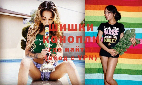 прущие грибы Верхний Тагил
