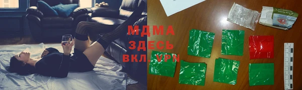 прущие грибы Верхний Тагил