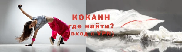 прущие грибы Верхний Тагил
