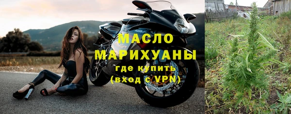прущие грибы Верхний Тагил