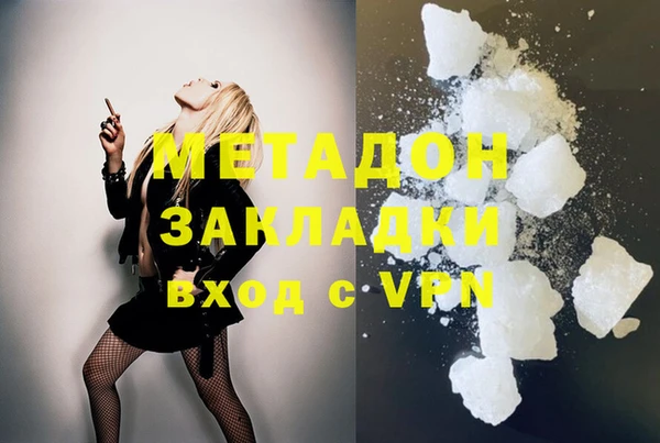 прущие грибы Верхний Тагил