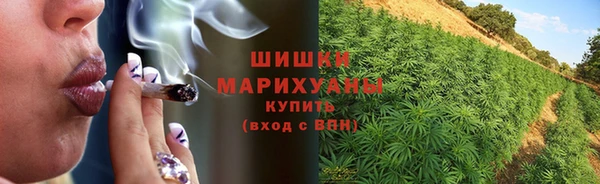 прущие грибы Верхний Тагил
