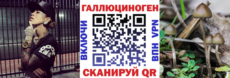 Псилоцибиновые грибы Magic Shrooms Афипский